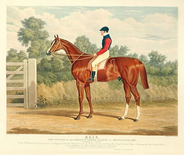 Elis, the Winner of the Great St. Leger Stakes at Doncaster, 1836