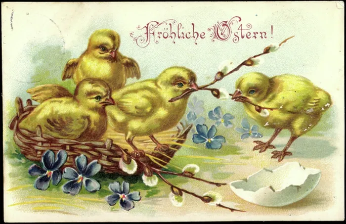 Framed Print : Embossing Congratulations Easter, Chick, Basket, Branches