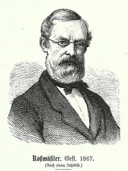 Emit Adolf Rossmaessler, 1806-1867, Rossmassler (engraving)