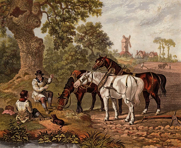 English farmers ploughing (coloured engraving)