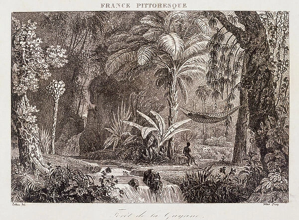 engraving depicting the French colony of Guyana in South America 1850