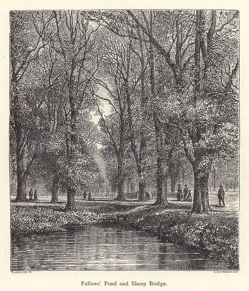 Eton College: Fellows Pond and Sheep Bridge (engraving)