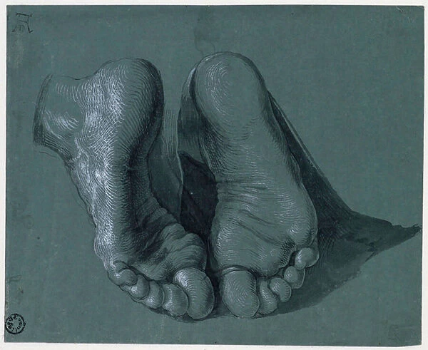 Etude de pieds - Study of Two Feet - Drawing by Albrecht Durer (1471-1528), Watercolour, white colour, black chalk on paper, c1508 (17, 6x21, 6cm) - Museum Boijmans Van Beuningen, Rotterdam
