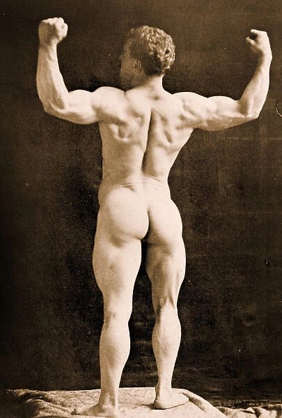 Eugen Sandow, in classical ancient Greco-Roman pose, c. 1893 (b  /  w photo)