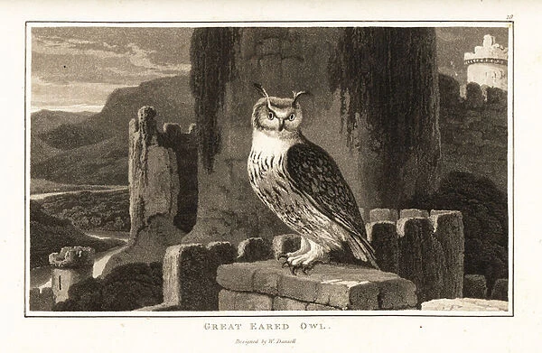 Eurasian eagle-owl perched on top of a Gothic castle. 1807 (aquatint)