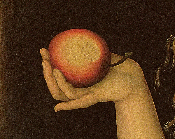 Eve, 1528 (oil on panel) (detail of 9629)