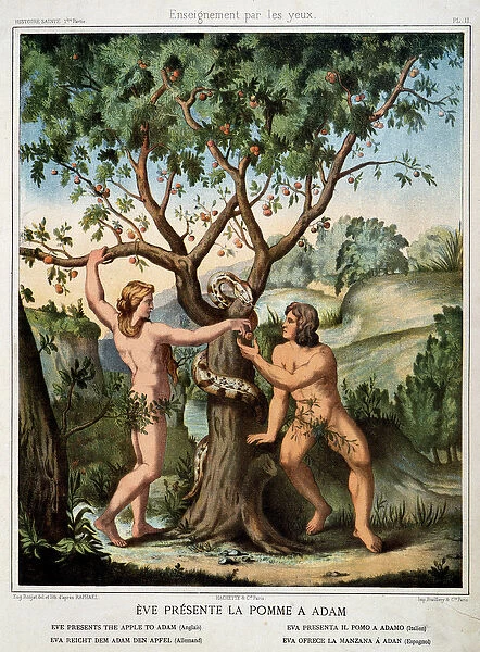 Eve Presents the Apple to Adam