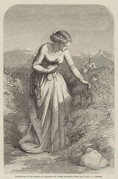 Exhibition of the Society of Painters in Water Colours, 'The Lily'(engraving)