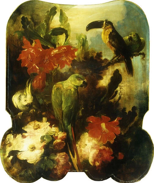 Exotic Birds and Flowers, 1893 (oil on canvas)