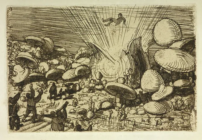 Framed Print : Explosion of a toadstool