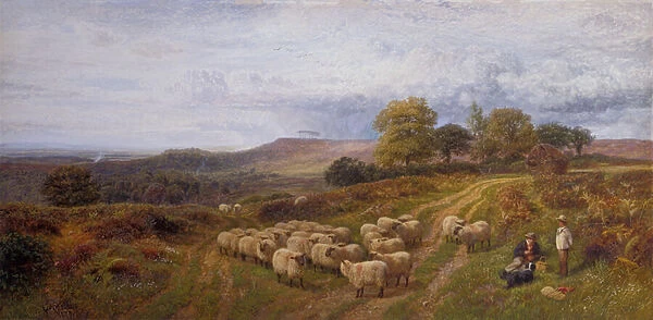 Extensive Landscape with a Shepherd and his Flock of Sheep, Surrey (oil on canvas)