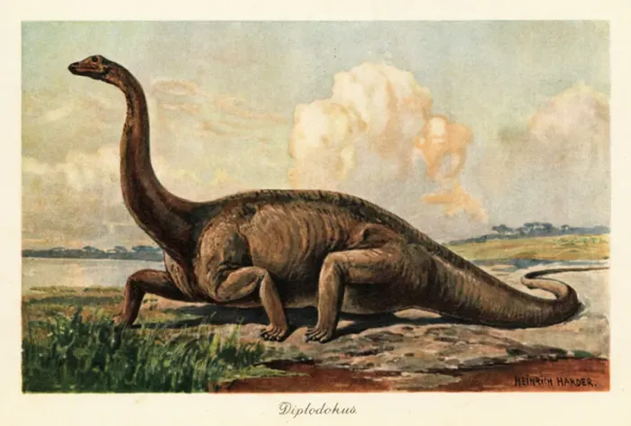 Framed Print : Extinct Diplodocus longus on the plains. 1908 (illustration)