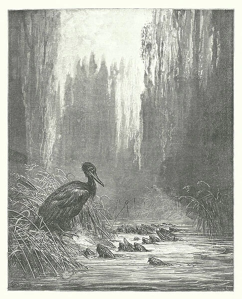 The Fables of La Fontaine: The Cormorant and the Fishes (engraving)