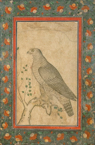 Falcon perched on a leafy stump, c. 1650
