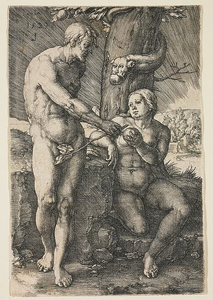 The Fall of Man, 1529
