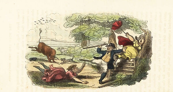 A family of botanists attacked by a charging bull in a field. 1831 (engraving)