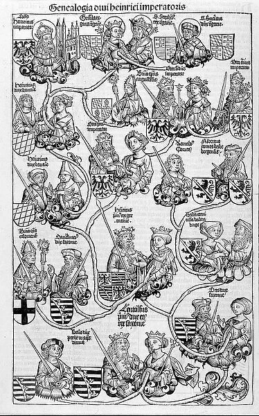 Family tree. In 'Nuremberg Chronicles', 1593