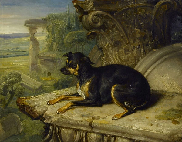 Fanny, a Favourite Dog, 1822 (oil on panel)