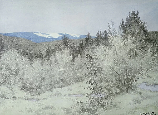 Far far away in the forest, 1902