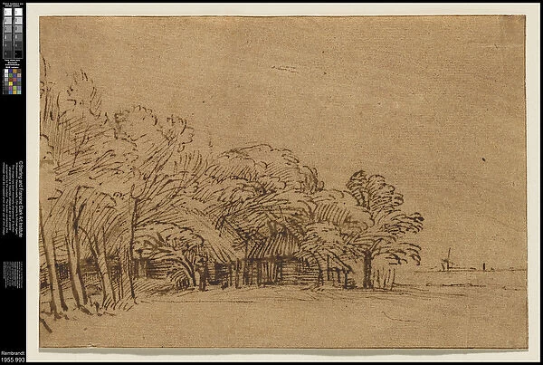 Farm under Trees, c. 1650 (pen & ink with wash on paper)