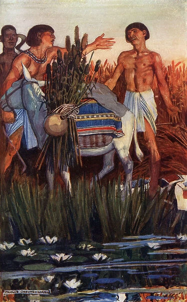 The Farmer Plunders the Peasant, illustration from Egyptian Myth and Legend