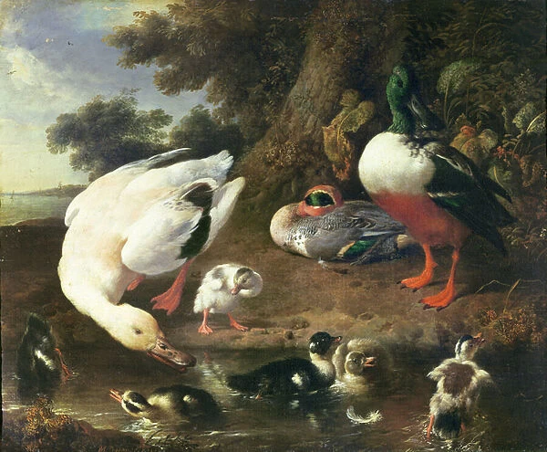 Farmyard ducks (oil on canvas)