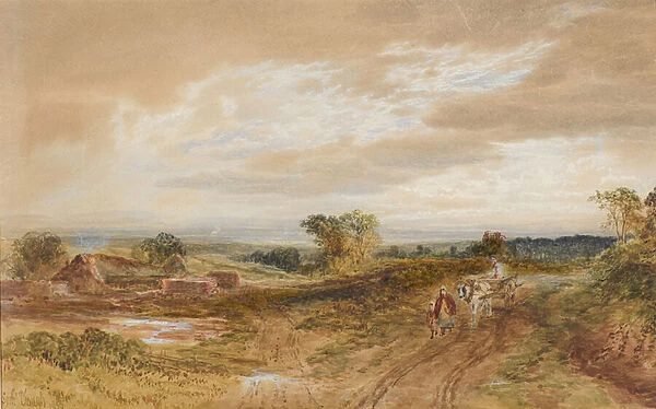 Farnham Common, 1855 (w  /  c)