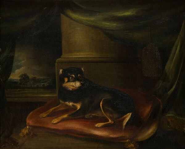 A Favourite Terrier on a red Cushion, c. 1794-1843 (oil on canvas)