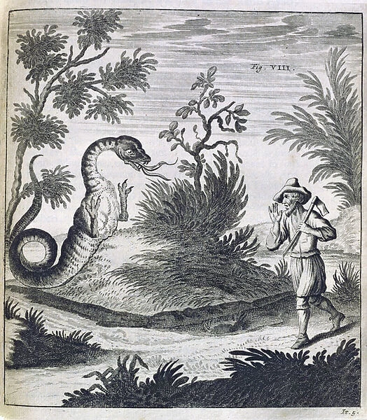A Fearful Dragon, c. 1660 (engraving)