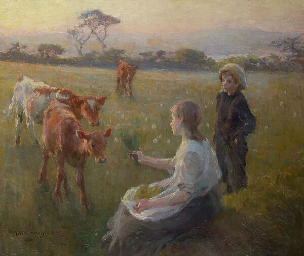 Feeding the Calves, 1906 (oil on canvas)
