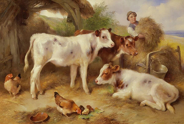 Feeding the Calves, 1931