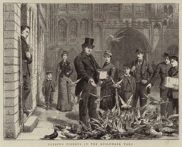 Feeding Pigeons in the Guildhall Yard (engraving)