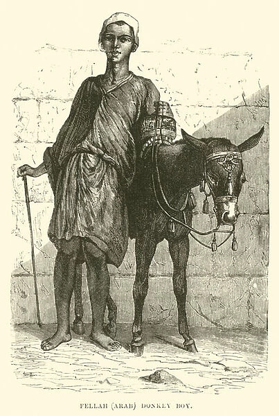 Fellah, Arab; donkey boy (engraving)
