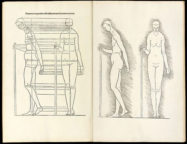Female with staff, anatomical woodcut from Hierinn sind begriffen vier bucher von