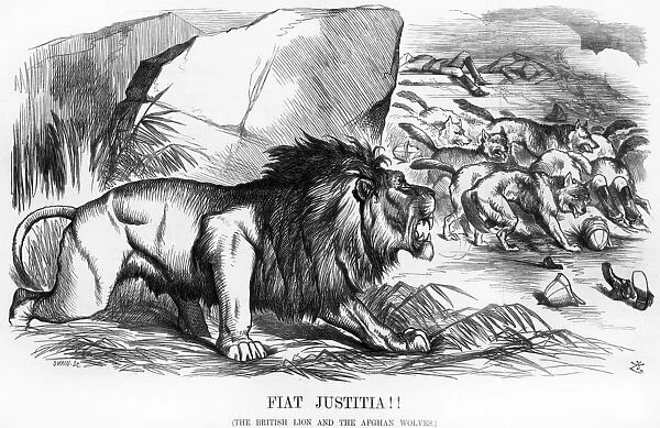 Fiat Justitia! The British Lion and the Afghan Wolves, cartoon from Punch Magazine
