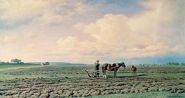 In the Field, 1872 (oil on canvas)