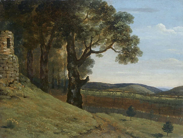 Field near Pencerrig, 1776 (oil on paper)