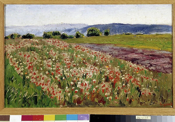 The field of poppies (painting)