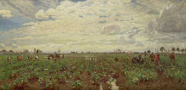 Fieldworkers, Holland, 1880s (oil on canvas)