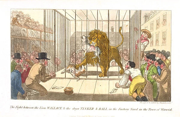 The Fight between the Lion Wallace and the Dogs Tinker and Ball in the Factory Yard in the Town of Warwick, from Anecdotes, Original and Selected, Of The Turf, The Chase, The Ring, And The Stage by Pierce Egan, published 1825 (etching)