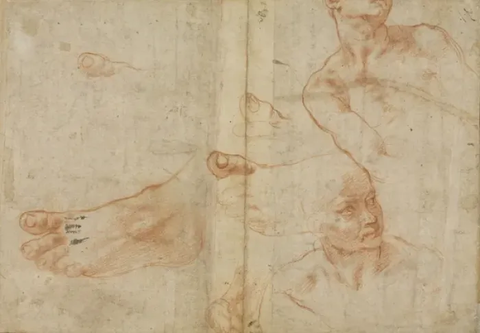 Framed Print : Figure studies for the Sistine Ceiling, 1510-11 (red chalk on paper)