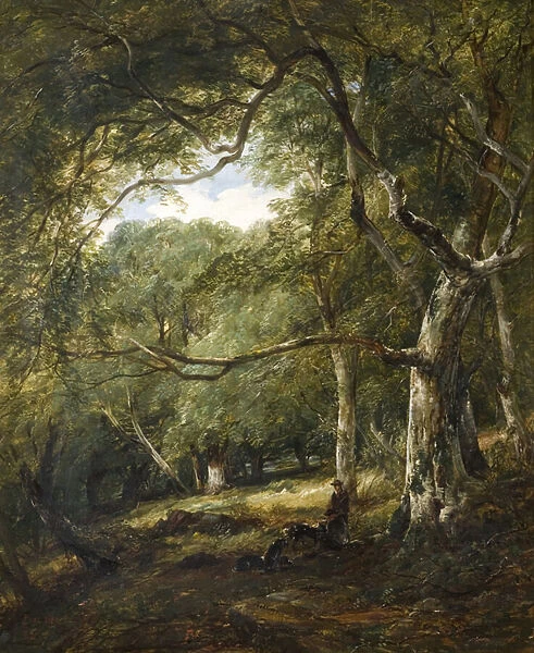 Figures in Woodland (oil on canvas)