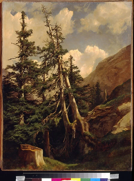 Firs in the mountains by Calame, Alexandre (1810-1864). Oil on canvas, Dimension : 68