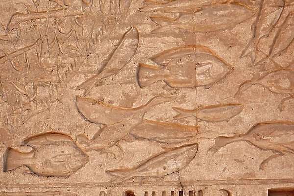 Detail of fish and geese, Temple of Horus, Edfu