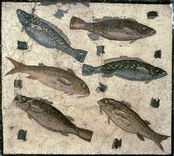 Fish (mosaic)