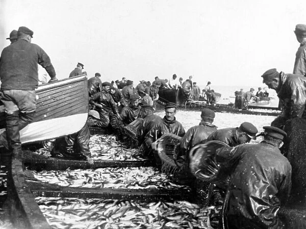 Fisherman with their Catch, c. 1890 (b  /  w photo)