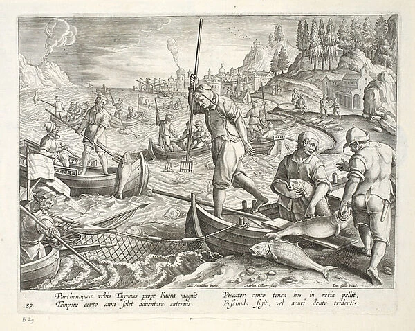 Fishing with Nets and Tridents in the Bay of Naples, plate 89