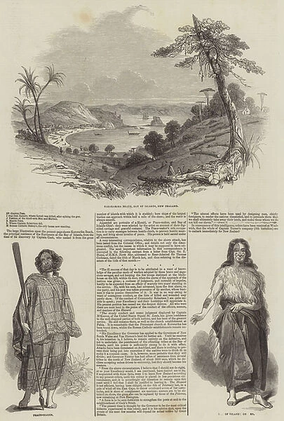 The Flagstaff War in New Zealand (engraving)