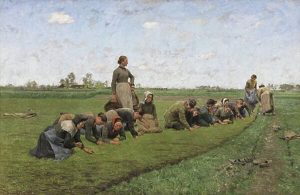 Flaxweeding in Flanders, 1887 (oil on canvas)