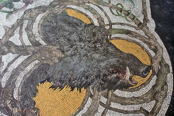 Floor depicting a wild boar (mosaic)